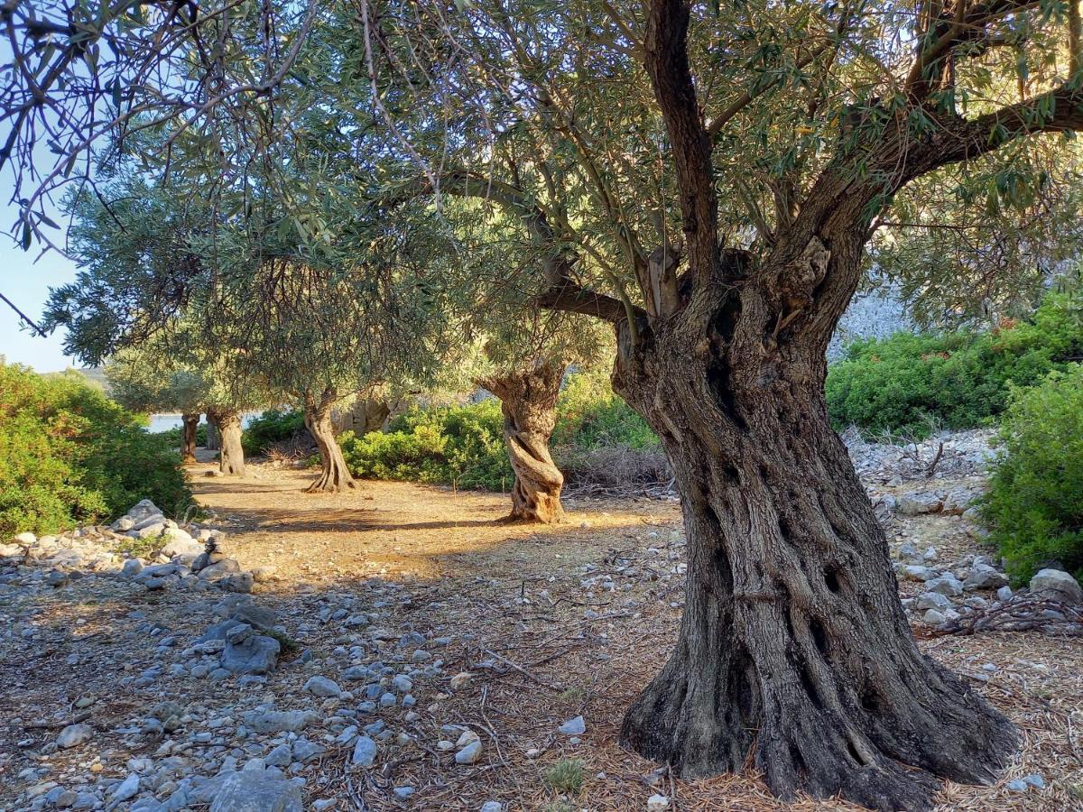 Villa Chelidonia Steni Vala Alonissos Exterior foto